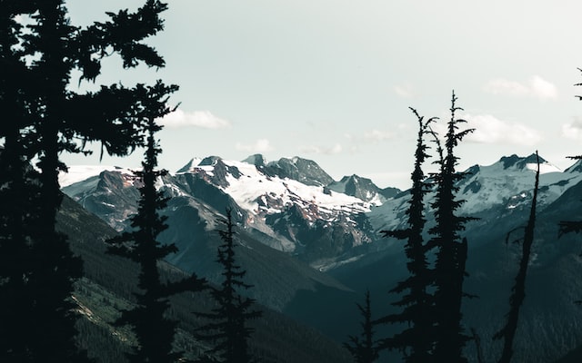 árboles y montañas del parque nacional de los glaciares